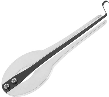 Maultrommel aus Metall, Silbernes Musikinstrument für Anfänger | Handgefertigtes Nationales Instrument, Traditionelles Modell mit Klaren Tönen, Passend für Entspannung und Meditation