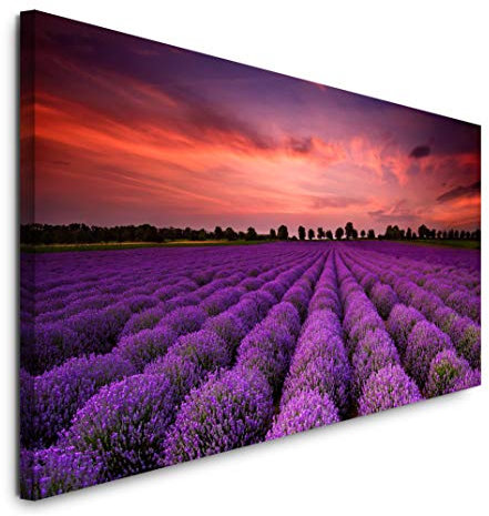 Paul Sinus Art GmbH Lavendel 120x 50cm Panorama Leinwand Bild XXL Format Wandbilder Wohnzimmer Wohnung Deko Kunstdrucke