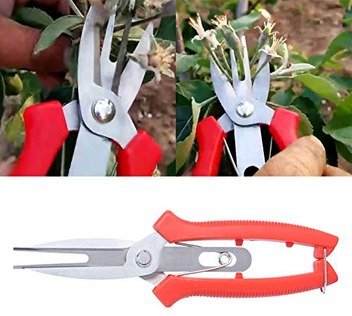 Cesoie per Potatura di Fiori Forbici Doppie a Punta Lunga e Dritta Cesoie da Giardinaggio in Acciaio Inossidabile Cesoie per Potatura di Alberi da Frutto