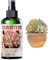Fertilizzante succulento per piante in vaso da interno, fertilizzante per piante grasse | Fertilizzante per piante alimentari per cactus,Spray succulento per piante da interno, stimolatore delle radic