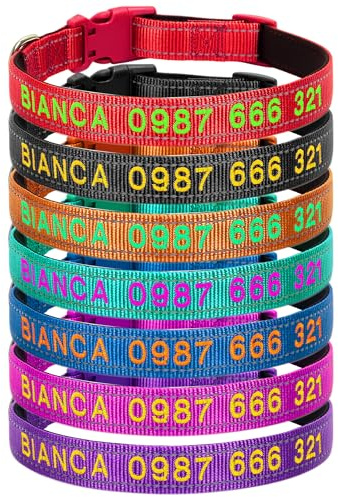 Hundehalsband, Reflektierend Halsband aus Nylon mit Weichem Neopren Polsterung einstellbar Hundehalsbänder Personalisiertes Hundehalsbänder (Besticktes Halsband)