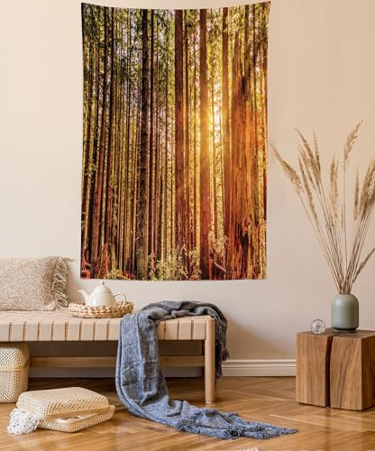ABAKUHAUS United States Tapestry, Tall Trees Red Woods Forest Humboldt California Sequoia Picture, Wall Hanging for Bedroom Living Room Dorm, 60 W X 80 L, Orange Dark Brown Green