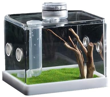 Springspinnengehege Tarantel Faunarium Acryl Reptilien Terrarien Transparent Reptilien Futterbox Futterbox Luftlöchern für Schnecken, Geckos, Mantisen, Eidechsen, Spinne