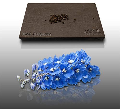 50 graines Fleurs à semer - Le Grenier d'Abondance - PIED D'ALOUETTE Impérial Géant 1m. - Delphinium