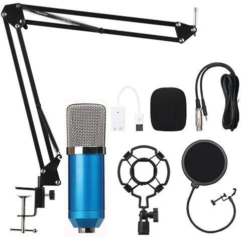 ELzEy Kit microfono a condensatore da studio for progetti di podcasting e streaming, feste in chiesa, karaoke