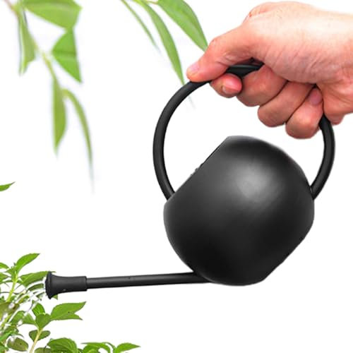 Arrosoir À Long Bec En Acier Inoxydable Pour Fleurs Et Pot d'arrosage