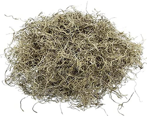 Decpero Dschungelmoos Natur 1kg gereinigt und präpariert