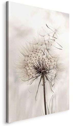 murando - Quadro Moderno per Camera da Letto, Soffione, 40x60 cm | Chiodi Inclusi, 1 Pezzo, Murale Arte, Stampe da Parete, Resistenti Allo Sbiadimento, Produzione Europea