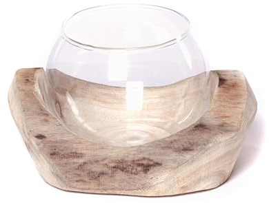 CREEDWOOD Wurzelholz Windlicht Nuria | 18x11x15 cm | mit Glaseinsatz | Holz Stamm, Deko Vase, Windlicht, Teelichthalter in Holz Schale, Tischdeko