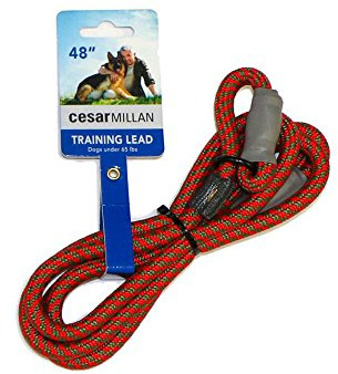 Cesar Millan Leine - Trainingsleine für Hunde - 2in1 Halsband Hund und Leine - Slip Lead - Retrieverleine mit integrierter Halsung (Small/Medium - Farbe: Rot/Olive) - Länge 120 cm, Durchmesser 1 cm