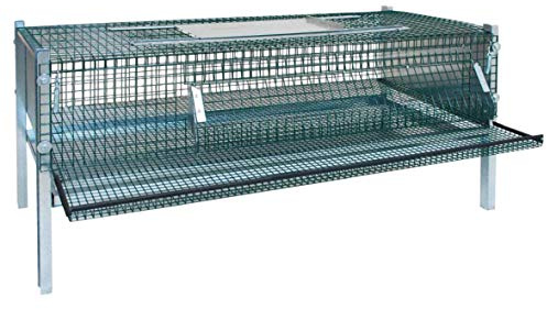 Habee GmbH Wachtelkäfig aus Metall, Legewachtelbox