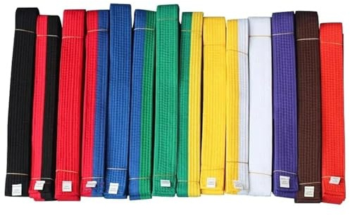 BOJHGO 2 Stück 160 cm-320 cm Mutlicolors Taekwondo Gürtel Erwachsene Karate Band Bund Kampfsport Judo Schwarz Braun Lila Orange für Taekwondo Karate(Green,180cm)