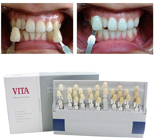 HERAHQ Color del Diente 3D Modelo Dental guía de Colores, 29 Colores de blanqueamiento Dental Profesional Materiales Tabla de Seguimiento y Color Cuidado Oral del Dentista Herramientas