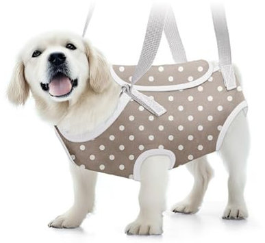VIDECOR Soft Jacket Step-in-Hunde-/Katzengeschirr und Leine-Set Zum Spazierengehen, Hundegeschirre mit Schnellverschluss für Welpen, Große Katzen, Verstellbar, Leicht,B-L