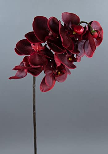 Orchideenzweig Real Touch 72cm CG Kunstblumen künstliche Orchidee Orchideen Blumen Seidenblumen … (Dunkelrot)