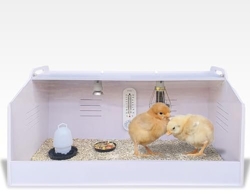 Breker Brutkasten Hühner [Komplettset] - Wärmelampe, Schutzkorb, Lichtquelle, Thermometer, Futterteller & Wassertränke | 80 x 40 x 40 cm | Kükenaufzuchtbox | Weiß