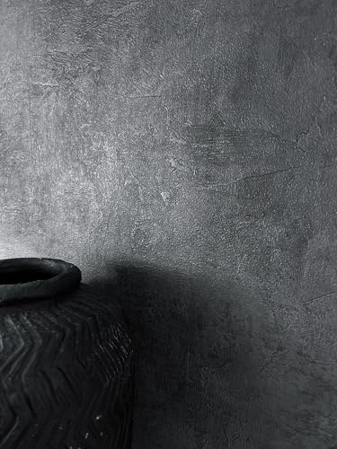 Newroom Papier Peint Intissé Anthracite Aspect Béton - Style Industriel Texture Ciment pour Salon Chambre