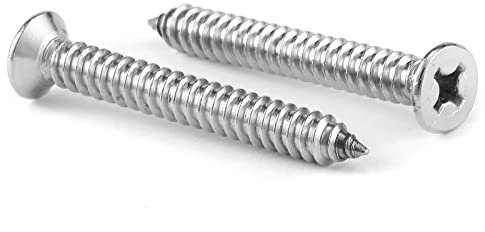 SG TZH Lot de 100 vis à bois longue 18-8 (304) en acier inoxydable à tête plate Phillips auto-taraudeuses rapides pour cloison sèche