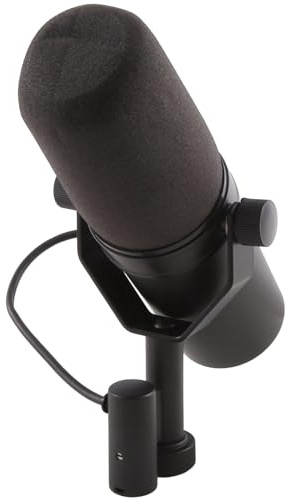 Begchy SM7B Microphone dynamique cardioïde, enregistrement, scène en direct, baladodiffusion, XLR, USB, système de sonorisation, ordinateur personnel, dB, portable, électrique filaire, 1 canal, faible