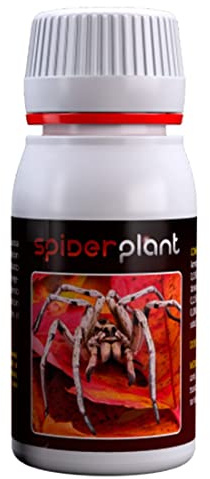 Aditivo de crecimiento para el cultivo Agrobacterias Spider Plant (60g)