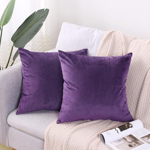 CXTAI Kissenbezug 50x50 cm (2er Set Samt) Kissenbezüge Sofakissen Dekokissen Kissenhülle Zierkissen - Lila