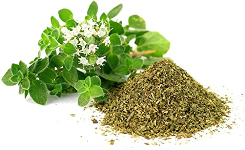 Semillas de Orégano Planta de Uso Medicinal y de Uso Culinario Origanum Vulgare