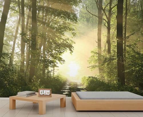 QDJKBL Green Trees Forest Wall Murals for Bedroom 3D Sunshine Forest Photo Wallpaper Jungle Tropical Rainforest Mural for Living Room Bedroom Laundry Rooms 100 x 70 cm