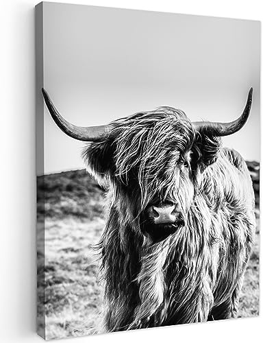 MuchoWow© Leinwand Bilder, Einzigartige Wanddeko mit Rahmen, Kuh | 30x40 cm - Schottischer Hochländer - Schwarz - Weiß - Tier - Natur - Wildtiere, Wandbilder Wohnzimmer, Deko Schlafzimmer