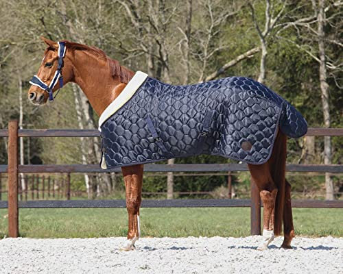 Coperta da stalla per cavalli QHP Classy 100g