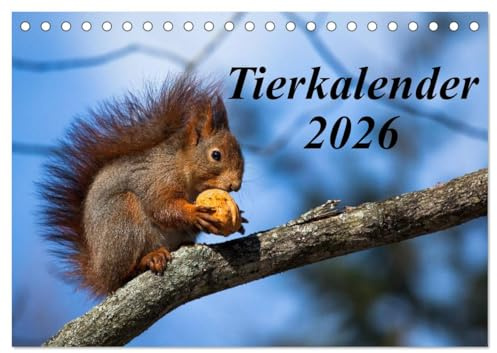 Tierkalender 2026 (Tischkalender 2026 DIN A5 quer), CALVENDO Monatskalender: Eine Auswahl phantastischer Tierfotos (CALVENDO Tiere)