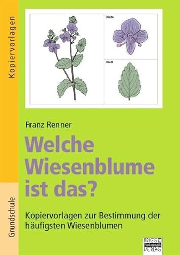Brigg: Sachunterricht - Grundschule / Welche Wiesenblume ist das?: Kopiervorlagen zur Bestimmung der häufigsten Wiesenblumen. Kopiervorlagen