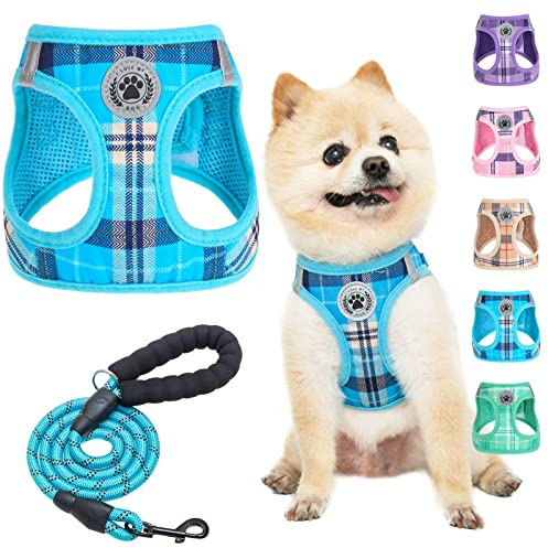 BEAUTYZOO Kleines Hundegeschirr und Leine,Step in No Chock No Pull Soft Mesh Hundegeschirr Reflektierend für XS/S Medium Welpen Hunde und Katzen, Plaid Hundeweste Geschirr für XS S Haustiere (blau, S)