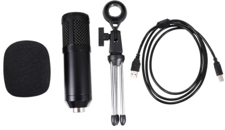 TEMPNAP USB Computer Microphone Condenser Mic Tripod Stand for Desktop Recording Computer Microphone