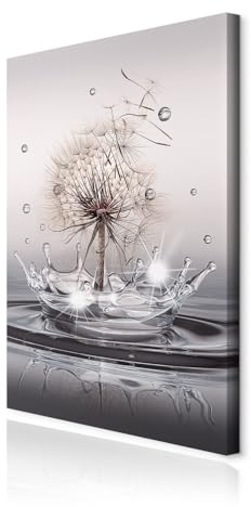 decomonkey Wandbilder Pusteblume 40x60 cm 1 Teilig Leinwandbilder Wanddeko | Strukturleinwand, Holzkeilrahmen, Bild auf Leinwand, Kunstdruck, Wohnzimmer, Wanddekoration, Blumen, Wasser