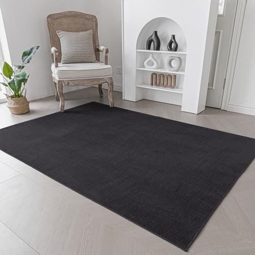 Evitany Short Pile Carpet Area Rugs Machine Washable Rug Anti-Slip Black Rug Bedside Rugs for Bedrooms Living Room Kitchen(Black,60x120 cm)