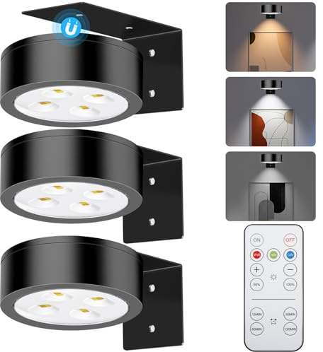 SIXDEFLY Luces de imagen para pared, 3 modos de iluminación, luz magnética para exhibición de arte, luz LED de pintura que funciona con pilas con control remoto regulable y temporizador, paquete de 3