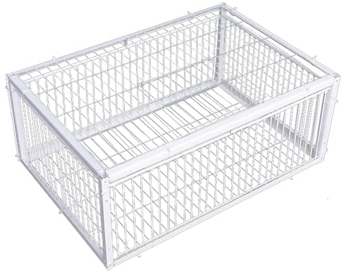 Trampa para pájaros, Trampa para Palomas, pájaro con entradas de Acceso unidireccional y tragaluz, Jaula de Metal para Palomas de 16 x 12 x 10 Pulgadas para Granjas, graneros, Jardines, cría de palom
