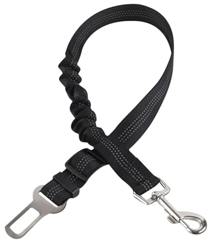 Tyenaza Correa elástica para Perros, Correa telescópica Trenzada de Nailon Reflectante para Entrenamiento de Perros con Anillo de conexión de Acero, para Caminar al Aire Libre