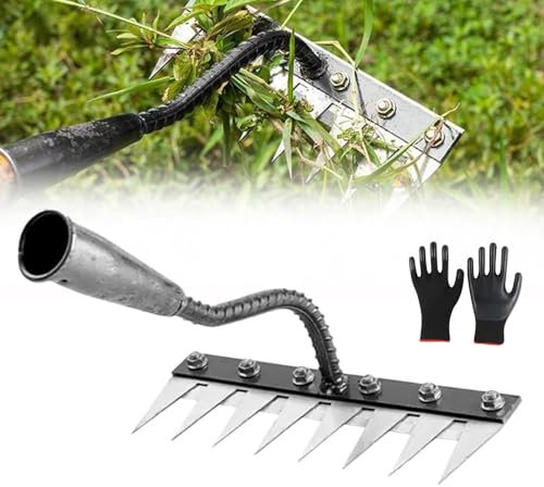 Rastrello Giardino - in Acciaio al Carbonio, Rastrello per erbacce da giardino, Rastrello per Foglie Giardino, per Diserbo/Allentamento/Semina (senza bastone) (6 Denti)