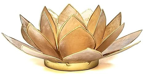 Capiz Lotus Licht beige/Smoked Goldfrand - 13.5 cm