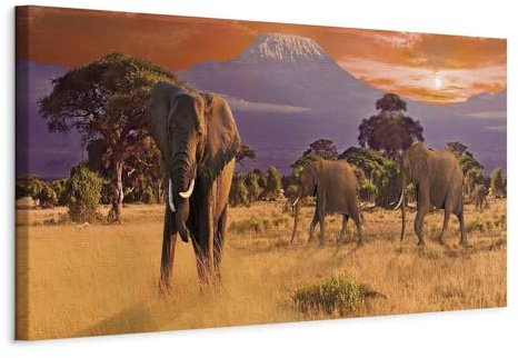 B&D XXL - Leinwandbild Animals Elephant Savanne, 150x50 cm, 1-teilig | Hochwertige Leinwand, sofort aufhängbar, ideal fürs Wohn- oder Schlafzimmer, wasserfest und lichtecht, langlebig, stilvoll
