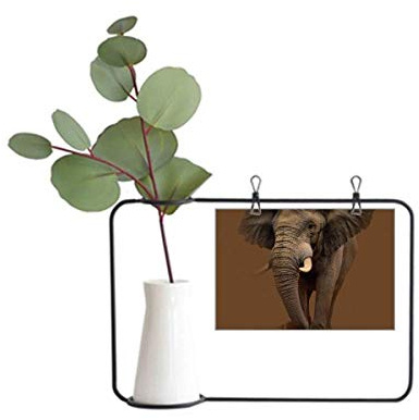OFFbb-USA Elefante Dientes de Pie Independiente Marco de Fotos de Metal Decoración de J