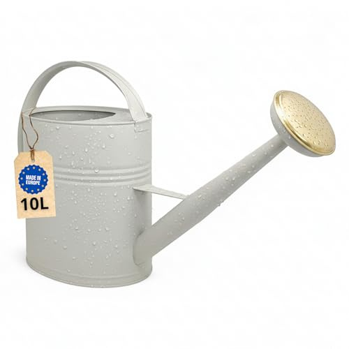 Livlig53 LIVLIG Arrosoir 10L en métal, avec Pomme d'arrosage Amovible, arrosoir Vintage, pour Le Jardin, Couleur: Greige