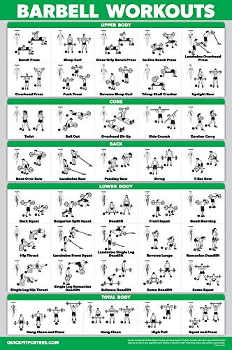Palace Learning QUICKFIT Übungsposter mit Langhantel, laminiert, 45,7 x 61 cm, für Kinderzimmer