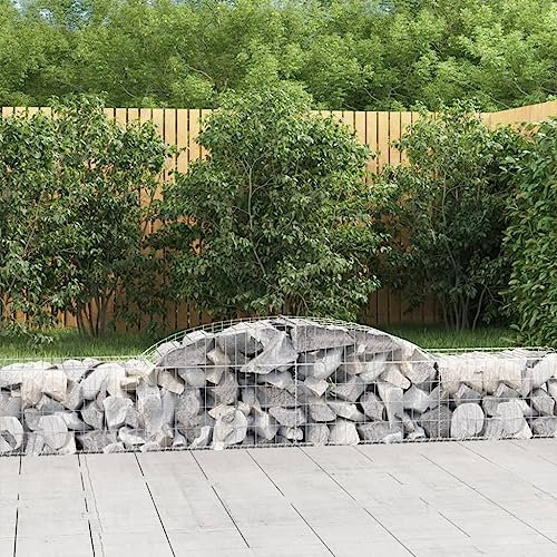 FUDUGEHMIOFWFJJ hochbeet schmal,fertigteich,pflanzkübel rund,Gabionen mit Hochbogen 10 STK. 300x50x40/60 cm Verzinktes EisenGeeignet für Garten, Terrasse, Schlafzimmer, Wohnzimmer