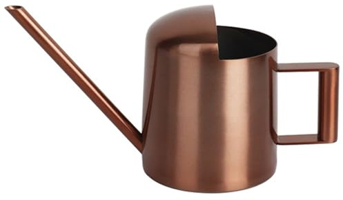 Peosaard Mini regadera para Plantas de Interior, Mini regadera de 10 oz de Acero Inoxidable pequeña con Pico Largo y Mango para Flores de jardín, suculentas, latas