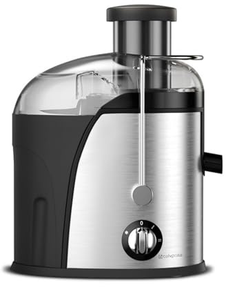 Extracteur de jus électrique centrifuge 400 W for oranges et légumes, appareil ménager à gros calibre avec séparation des résidus, 220 V/110 V(Sliver,EU)