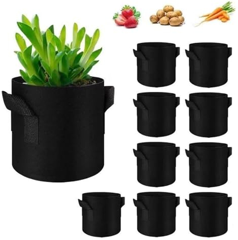 ZQYMM 10 Stück 11L Pflanzsäcke aus Vliesstoff, Pflanzbeutel Kartoffelsack mit Griff, Ø25cm Höhe 22cm, Pflanztaschen Taschen für Gemüsebeet Blumen Pflanzen Kartoffeln Tomaten,Schwarz,3 Gallon