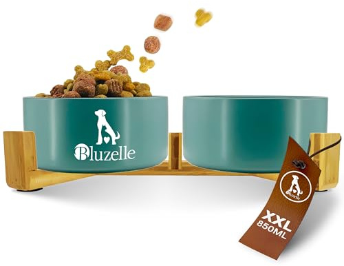 bluzelle Hundenapf Set Erhöht 2X 850ml, Keramik Napfstation 2in1, Petrol | Gesunde Verdauung & Haltung, Maximale Stabilität, BALANCE BOWL