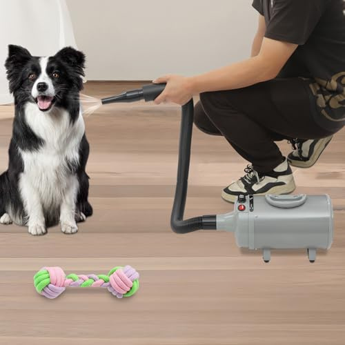 GramStudio Asciugacapelli per cani con 4 diversi ugelli e tubo da 75-220 cm, asciugacapelli per cani con velocità e calore regolabili